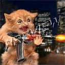 ���� ��������, ������, 46 ��� - ��������� 13 ����� 2011 � ������ �������