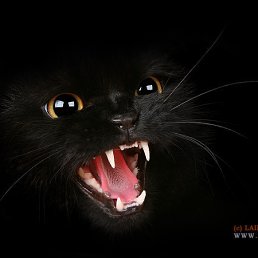 ���� ����, ���������� �����, 53 ���� - ��������� 2 ������� 2011