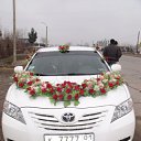 ���� Shahriyor, �������, 41 ��� - ��������� 25 ������ 2012