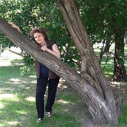 ���� Gohar, ������, 63 ���� - ��������� 15 ���� 2013