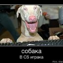 ���� Vladimir, ������������, 86 ��� - ��������� 24 ������� 2011