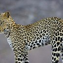 ���� ������, �������, 29 ��� - ��������� 24 ������� 2010 � ������ ���� ����