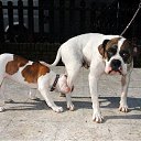 ���� ����� - ���������� ��������!!!, �����������, 56 ��� - ��������� 4 ������� 2009 � ������ ����������� :-)�