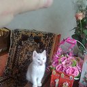 ��� ��������� ��������� ��������� ������� ������ � ������� �� ������� ���� ����������