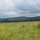 ���� ������, ������������, 63 ���� - ��������� 4 ������ 2011 � ������ �����.�