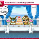  , , 32  -  2  2011   PetLove