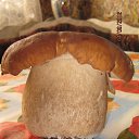 ���� ������, ���������, 47 ��� - ��������� 10 �������� 2012 � ������ ��������