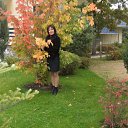 ���� ����, �����, 56 ��� - ��������� 3 ������� 2011 � ������ �� ����������