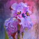 ���� ������, ���������, 65 ��� - ��������� 24 ������� 2013 � ������ ������ ������ !!!�