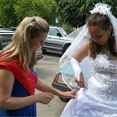 ���� ������, �������, 41 ��� - ��������� 8 �������� 2011 � ������ ���� ����������