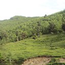 ������ ������� �� ������� ���� ����������