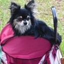 ���� Natalia, �������-��������� - ��������� 3 ���� 2012 � ������ ���� ����������