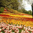 ���� �������, ���������, 42 ���� - ��������� 25 ����� 2012 � ������ �������������