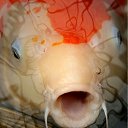 ���� ����� - ���������� ��������!!!, �����������, 56 ��� - ��������� 20 ������� 2009 � ������ ������������� ��������� � ��������� ���!�