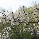 ���� ���� ����, ����������, 50 ��� - ��������� 19 ����� 2010 � ������ ��������� ������!�