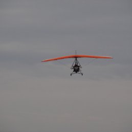 ���� ˸��, ����������, 29 ��� - ��������� 23 ������ 2010