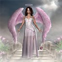 ���� �������, �����-���������, 61 ��� - ��������� 22 ������� 2010 � ������ ���� �����