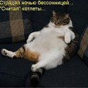 ���� ��������, ������������, 49 ��� - ��������� 28 ������� 2011 � ������ ���������