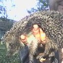 ���� ��������� �� ������� �������