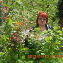 ���� �����, ������-��-����, 68 ��� - ��������� 23 ������ 2012 � ������ ���� ����������