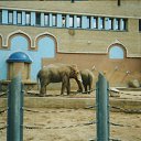 ���� �����, �������� - ��������� 8 ������ 2012