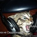 ���� ���������, �������, 44 ���� - ��������� 5 ��� 2011 � ������ ����