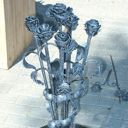 ���� �.�., ������, 46 ��� - ��������� 24 ������ 2010