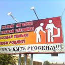  , -, 65  -  2  2013   ߻