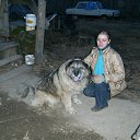 ���� �����, �����, 51 ��� - ��������� 28 ���� 2011 � ������ ���� ����������