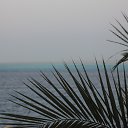 ���� Helen, ������ - ��������� 7 ��� 2013 � ������ �������