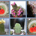  (  ),  , 54  -  9  2010   