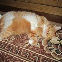 ���� �������, �����, 42 ���� - ��������� 4 ������ 2012 � ������ ���� ����������