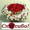 ���� ������, �����, 48 ��� - ��������� 22 ������� 2009 � ������ �������
