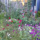 ���� Rina, �������, 39 ��� - ��������� 26 ������ 2010 � ������ ��������