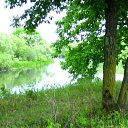  Wit, , 59  -  3  2009    -  