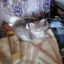 ���� ���� ��, �������, 49 ��� - ��������� 15 ������ 2011 � ������ ���� ���.�