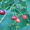  , -, 40  -  16  2011     