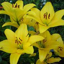 ���� �����, ������ - ��������� 1 ������ 2010 � ������ ���� ������