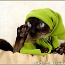 ���� ����, ������-��-����, 23 ���� - ��������� 4 ���� 2011 � ������ �PetLove�