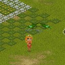  ,  -  10  2012   Tropikania