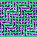 ���� �������, ����, 51 ��� - ��������� 23 ����� 2013 � ������ ����