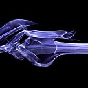  ,  -  13  2010   ____