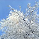 ���� �������� ��������, �����-��������, 51 ��� - ��������� 18 ������ 2013 � ������ ��Ψ ������Ż