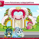 ���� *Hs*��������, �����-���������, 39 ��� - ��������� 12 ������� 2010 � ������ �PetLove�