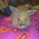 ���� ������, �����������, 36 ��� - ��������� 4 ������ 2010 � ������ ��������� ��� � ���� ������