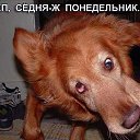  , , 52  -  10  2011   XXX