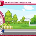 ���� �����, ������-��-���� - ��������� 24 ���� 2011 � ������ �PetLove�