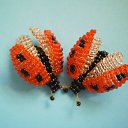 ���� ����, ��������, 36 ��� - ��������� 18 ��� 2011 � ������ ���� ������ �� ������