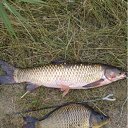 ���� ������, �������� - ��������� 25 ������� 2011 � ������ �@ � @ !�