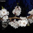 �� ����� �� ������� �������